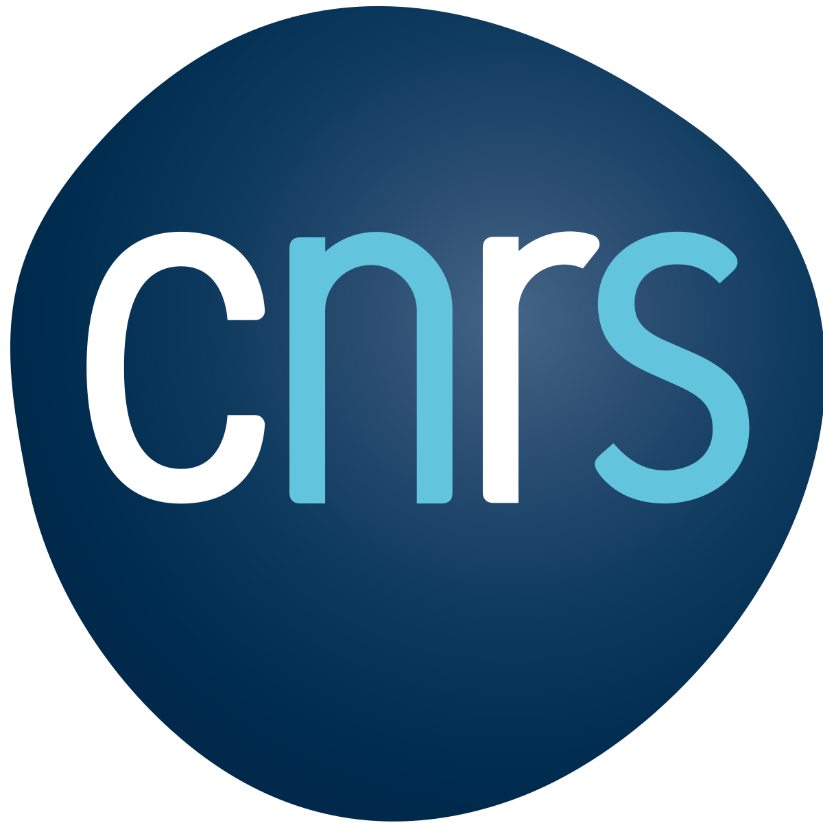CNRS (MITI)
